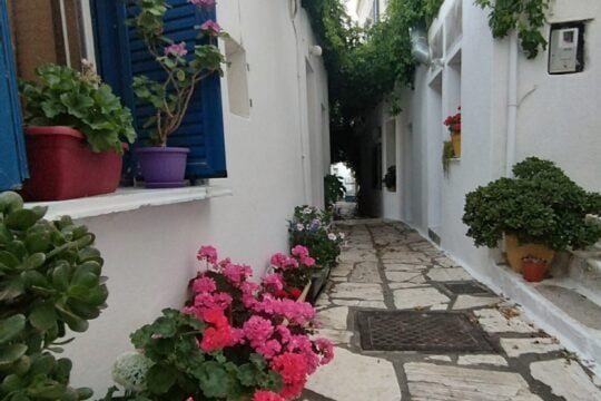 Το νησί των Κυκλάδων που μετατρέπεται σε εθνικό παράδειγμα βιώσιμης ανάπτυξης