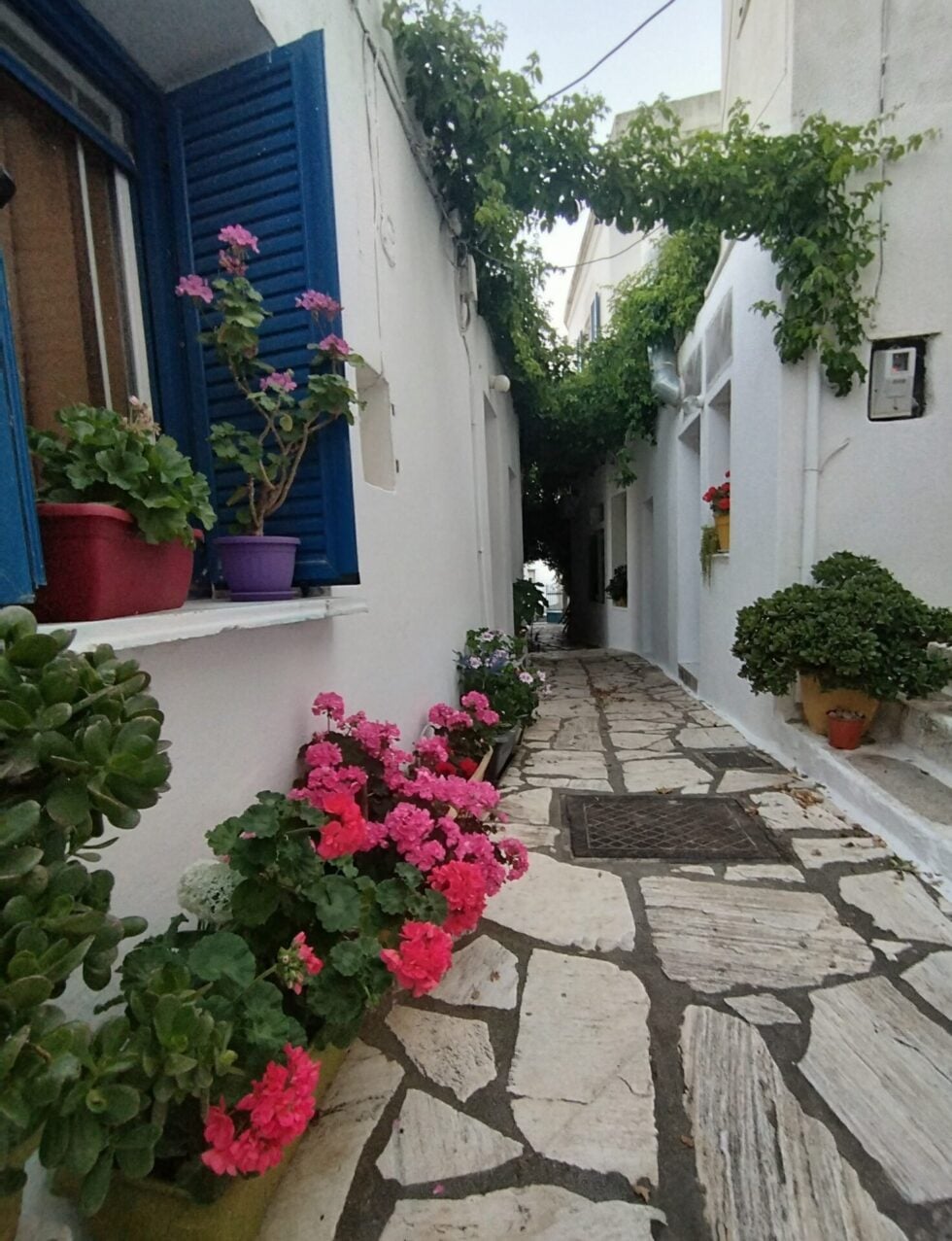 Το νησί των Κυκλάδων που μετατρέπεται σε εθνικό παράδειγμα βιώσιμης ανάπτυξης