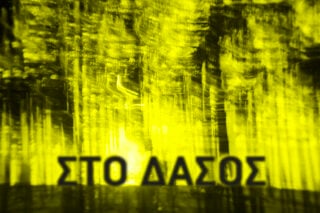 Το άλμπουμ «Στο Δάσος» του Νάσου Αρώνη