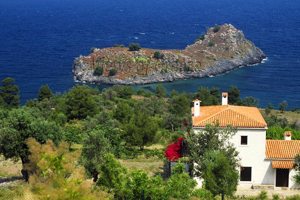 Πεύκα, βράχια και χρυσαφένια άμμος… Μια από τις πιο ξεχωριστές ακτές της Ανατολικής Εύβοιας