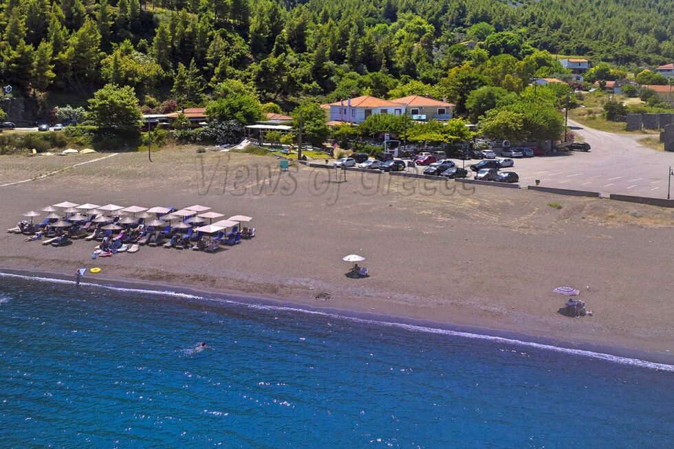 Πεύκα, βράχια και χρυσαφένια άμμος… Μια από τις πιο ξεχωριστές ακτές της Ανατολικής Εύβοιας