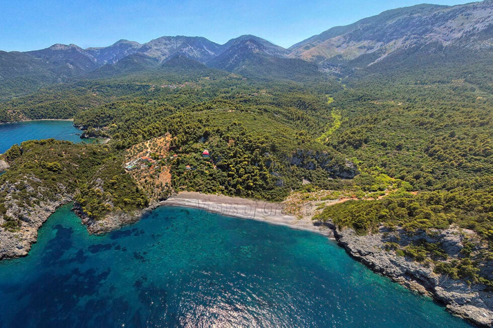 Πεύκα, βράχια και χρυσαφένια άμμος… Μια από τις πιο ξεχωριστές ακτές της Ανατολικής Εύβοιας