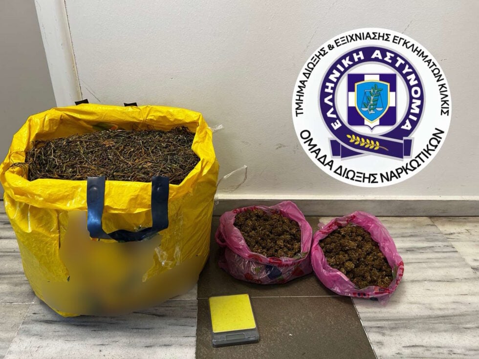 Καλλιεργούσε δενδρύλλια κάνναβης σε δωμάτιο σπιτιού και σε εγκαταλελειμμένο ποιμνιοστάσιο [εικόνες]