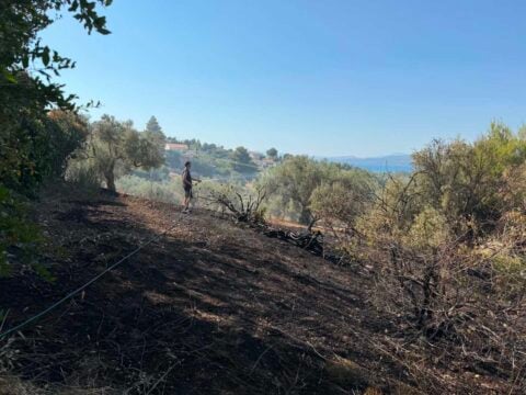 Σε ύφεση η φωτιά στον Ωρωπό – Σοβαρές ζημιές σε σπίτι [εικόνες]