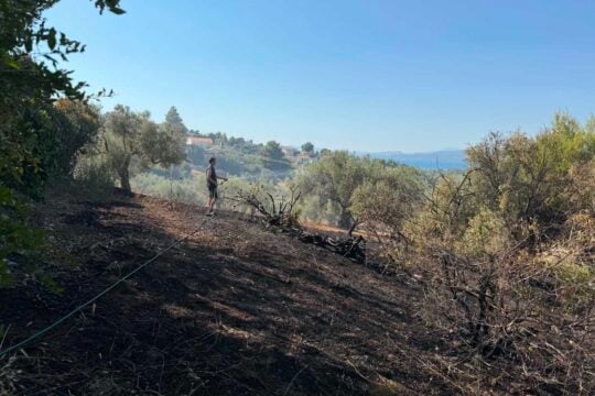 Σε ύφεση η φωτιά στον Ωρωπό – Σοβαρές ζημιές σε σπίτι [εικόνες]