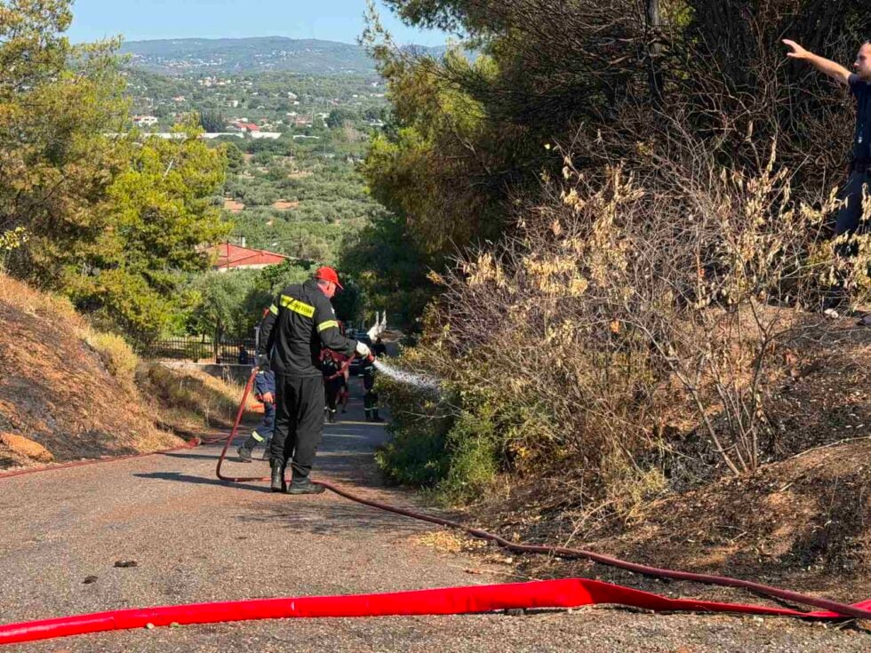 Σε ύφεση η φωτιά στον Ωρωπό – Σοβαρές ζημιές σε σπίτι [εικόνες]