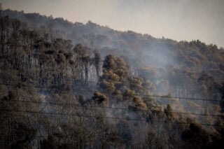 Μεσσηνία: Στη φυλακή οι τρεις κατηγορούμενοι για κύκλωμα εμπρησμών 