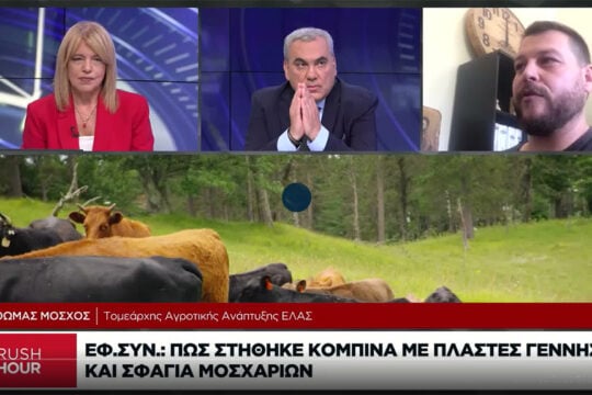 Συνέχεια στη χθεσινή αποκάλυψη της «Εφ.Συν.» με το πάρτι επιδοτήσεων και στα βοοειδή