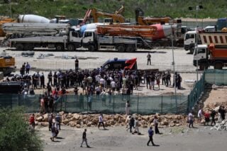 «Σφαγή της βιοποικιλότητας»: Η οικογένεια Τραμπ προκαλεί ανεπανόρθωτες ζημιές στην Αλβανία