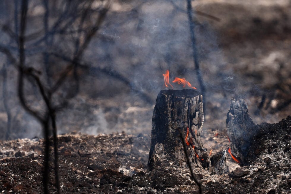 Φλέγεται η Γαλλία από τις μεγάλες δασικές πυρκαγιές – 20.000 άνθρωποι εγκατέλειψαν τα σπίτια τους [εικόνες-βίντεο]
