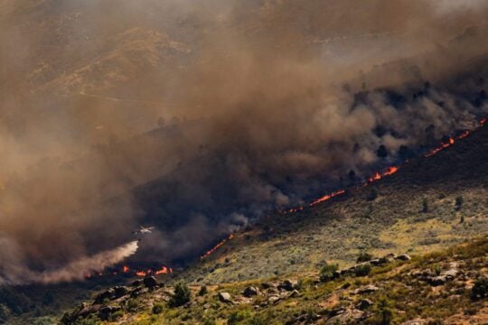 Φωτιές στην Ισπανία / (AP Photo/Manu Fernandez)