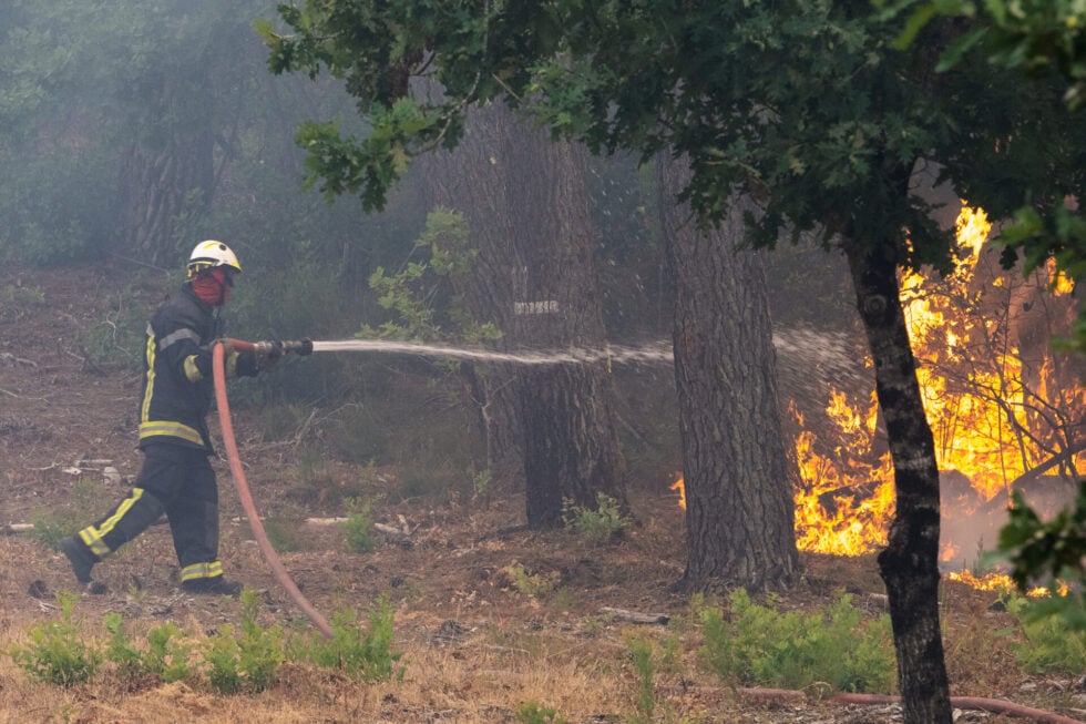 Γαλλία: Τη συνδρομή του στρατού ζητά ο Μακρόν για τα πύρινα μέτωπα – Νέες εκκενώσεις κοντά στο Μπορντό [εικόνες-βίντεο]