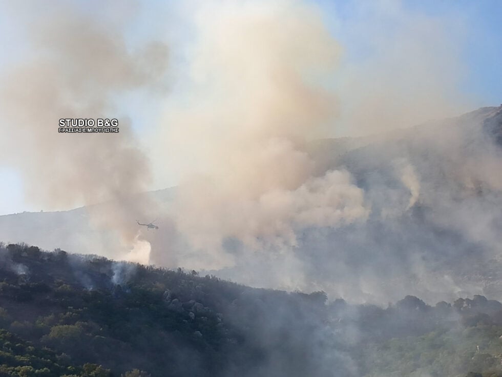 Φωτιά στην Αγία Ελένη Τροιζηνίας: 112 για εκκένωση – Επιχειρούν εναέρια μέσα [εικόνες]