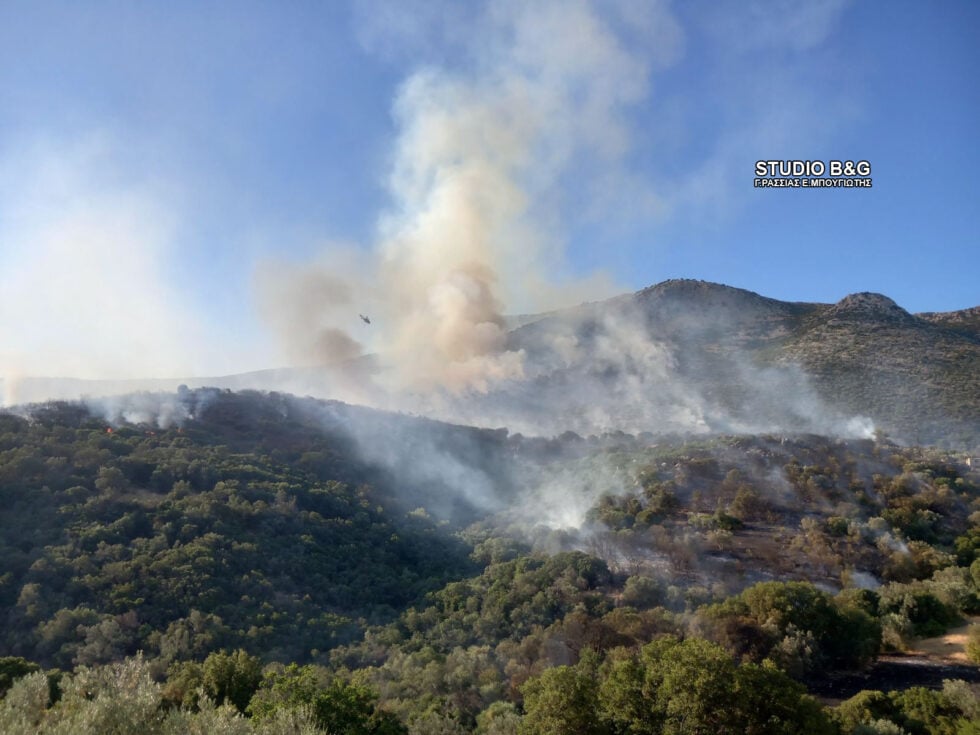 Φωτιά στην Αγία Ελένη Τροιζηνίας: 112 για εκκένωση – Επιχειρούν εναέρια μέσα [εικόνες]