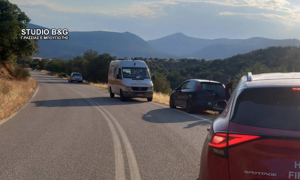 Φωτιά στην Αγία Ελένη Τροιζηνίας: 112 για εκκένωση – Επιχειρούν εναέρια μέσα [εικόνες]