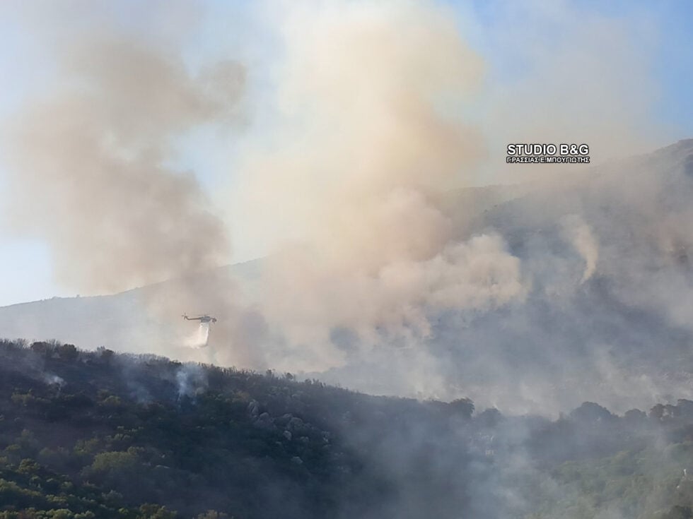 Φωτιά στην Αγία Ελένη Τροιζηνίας: 112 για εκκένωση – Επιχειρούν εναέρια μέσα [εικόνες]