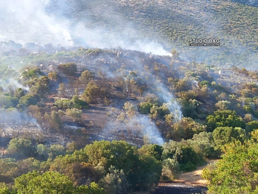 Φωτιά στην Αγία Ελένη Τροιζηνίας: 112 για εκκένωση – Επιχειρούν εναέρια μέσα [εικόνες]
