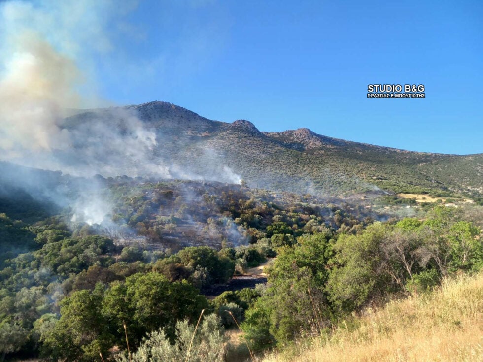 Φωτιά στην Αγία Ελένη Τροιζηνίας: 112 για εκκένωση – Επιχειρούν εναέρια μέσα [εικόνες]