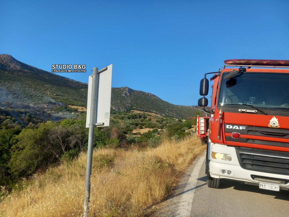 Φωτιά στην Αγία Ελένη Τροιζηνίας: 112 για εκκένωση – Επιχειρούν εναέρια μέσα [εικόνες]
