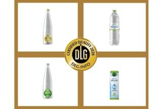 ΘΕΟΝΗ: Νέα διεθνής διάκριση στα DLG Awards