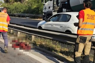 Το πρώτο τροχαίο με αγριογούρουνο στην εθνική Αθηνών – Κορίνθου: Έχασε τη ζωή του το άτυχο ζώο [εικόνες]