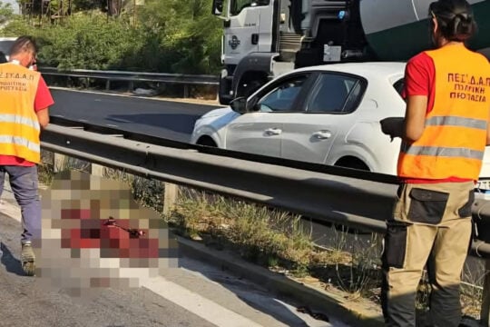 Το πρώτο τροχαίο με αγριογούρουνο στην εθνική Αθηνών – Κορίνθου: Έχασε τη ζωή του το άτυχο ζώο [εικόνες]