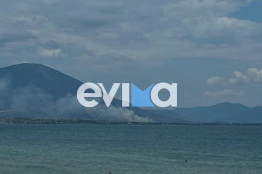 Φωτιά στη Δροσιά Ευβοίας: Σηκώθηκαν 6 ενάερια μέσα