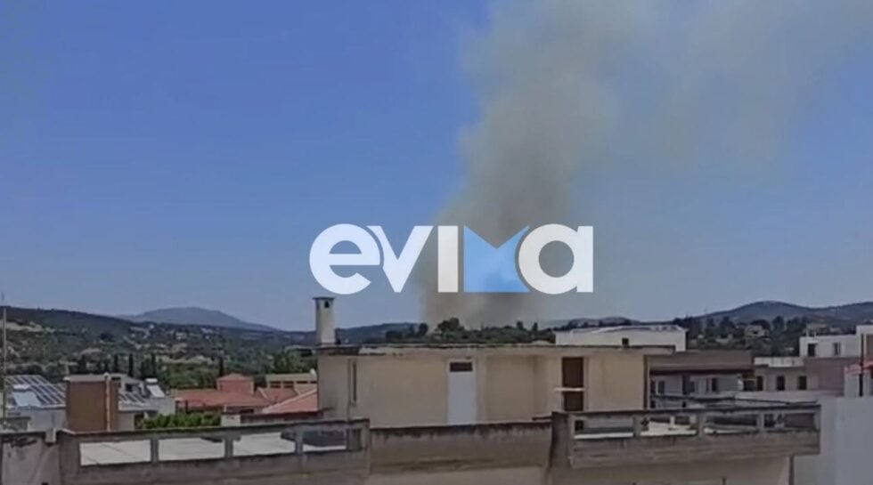 Φωτιά στο Αλιβέρι Ευβοίας: Μήνυμα 112 για εκκένωση του Προφήτη Ηλία – Επιχειρούν 9 εναέρια μέσα