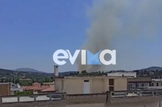 Φωτιά στην Εύβοια / evima.gr