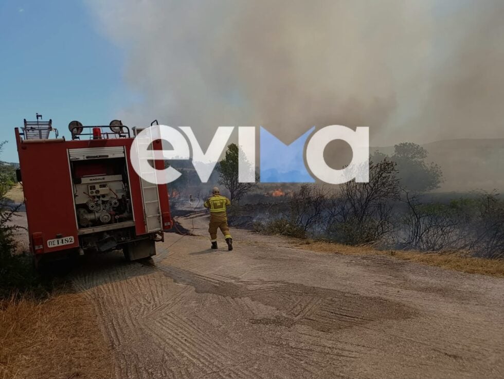Φωτιά στο Αλιβέρι Ευβοίας: Μήνυμα 112 για εκκένωση του Προφήτη Ηλία – Επιχειρούν 9 εναέρια μέσα