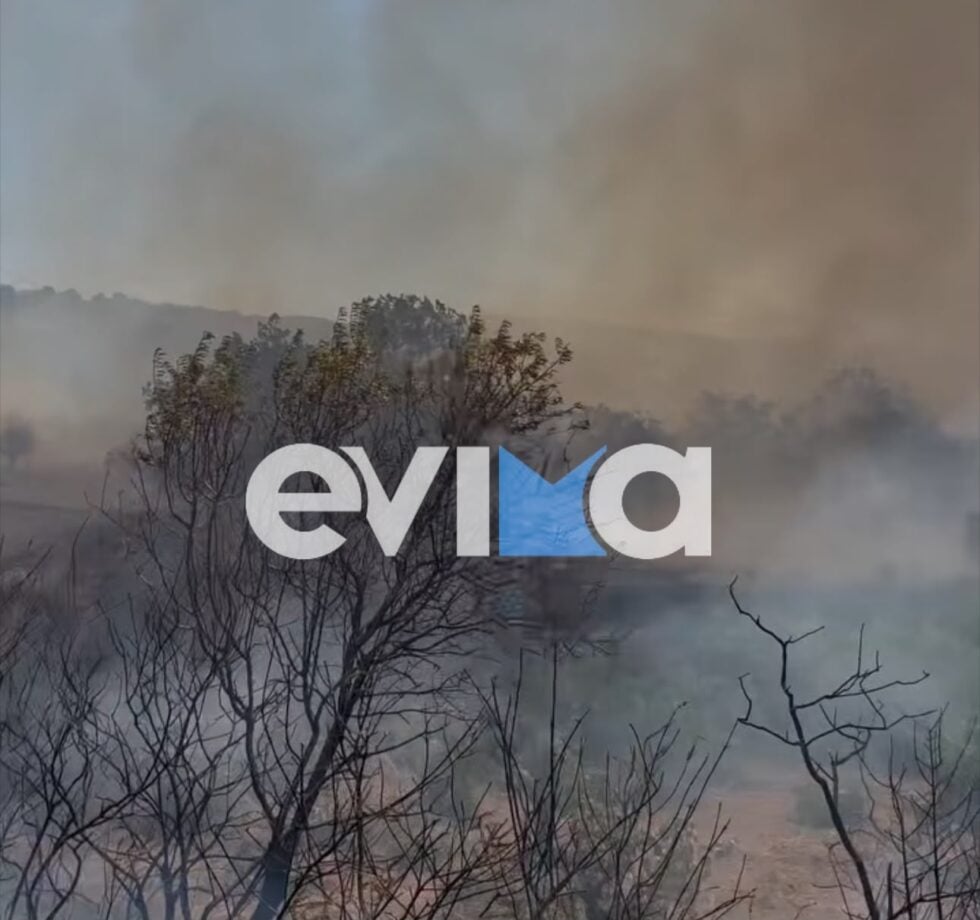 Φωτιά στο Αλιβέρι Ευβοίας: Μήνυμα 112 για εκκένωση του Προφήτη Ηλία – Επιχειρούν 9 εναέρια μέσα