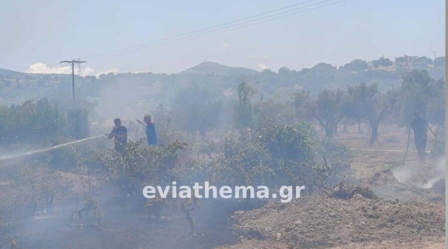 Φωτιά στο Αλιβέρι Ευβοίας: Μήνυμα 112 για εκκένωση του Προφήτη Ηλία – Επιχειρούν 9 εναέρια μέσα