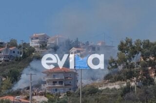 Φωτιά στην Εύβοια: Καίει κοντά σε σπίτια στον οικισμό Ακτή Νηρέως στο Αλιβέρι [εικόνες – βίντεο]