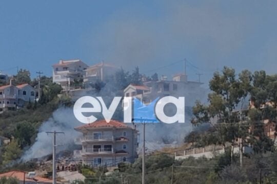 Υπό πλήρη έλεγχο η φωτιά στην Εύβοια που έκαιγε κοντά σε σπίτια στο Αλιβέρι [εικόνες – βίντεο]