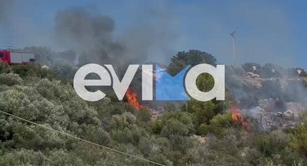 Υπό πλήρη έλεγχο η φωτιά στην Εύβοια που έκαιγε κοντά σε σπίτια στο Αλιβέρι [εικόνες – βίντεο]