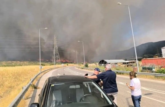 Φωτιά στη Λαμία / lamiareport.gr