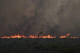 Εφιάλτης στη Γαλλία: Στάχτη 420.000 στρέμματα γης – 220.000 απομακρύνθηκαν από τις εστίες τους