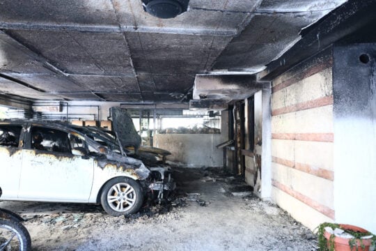 Συλλυπητήρια από την αντιπολίτευση και καταδίκη για τον θάνατο της Βάγιας Νέστορα