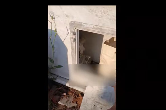 Θεσσαλονίκη: Έκρυβε τα ναρκωτικά σε μνήμα συγγενικού του προσώπου [βίντεο]