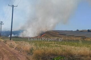 lamiareport.gr