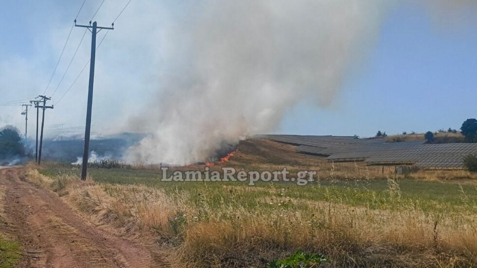 lamiareport.gr