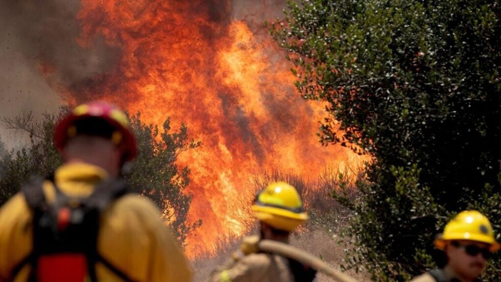 Μέγα – Πυρκαγιές: 45 εκατ. στρέμματα στάχτη και το μέλλον μυρίζει καμένο