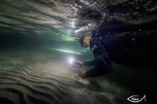 Υπό ελληνική παρακολούθηση αγγελοκαρχαρίας – Είναι από τα πιο απειλούμενα είδη καρχαριών παγκοσμίως