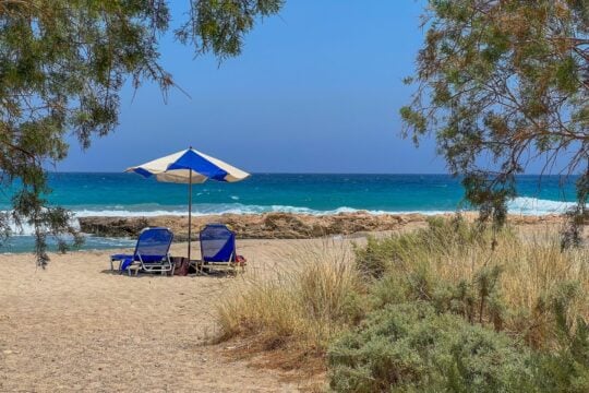 Το «φαινόμενο Προυστ» κάτω από το αλμυρίκι