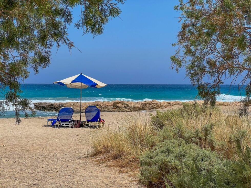Το «φαινόμενο Προυστ» κάτω από το αλμυρίκι