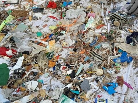 Μείωση της «πλαστικής» ρύπανσης σε ελάχιστες ελληνικές παραλίες καταγράφει έρευνα του WWF