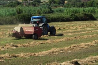 Ενισχύεται η καλλιέργεια μηδικής με 4,9 εκατ. ευρώ