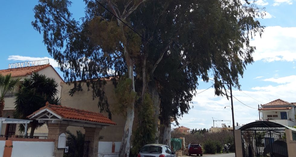 Αδιάψευστες μαρτυρίες για το «κλάδεμα» στο Δήμο Αίγινας
