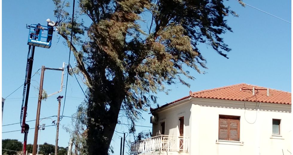 Αδιάψευστες μαρτυρίες για το «κλάδεμα» στο Δήμο Αίγινας
