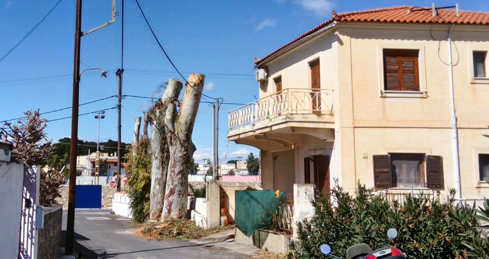 Αδιάψευστες μαρτυρίες για το «κλάδεμα» στο Δήμο Αίγινας